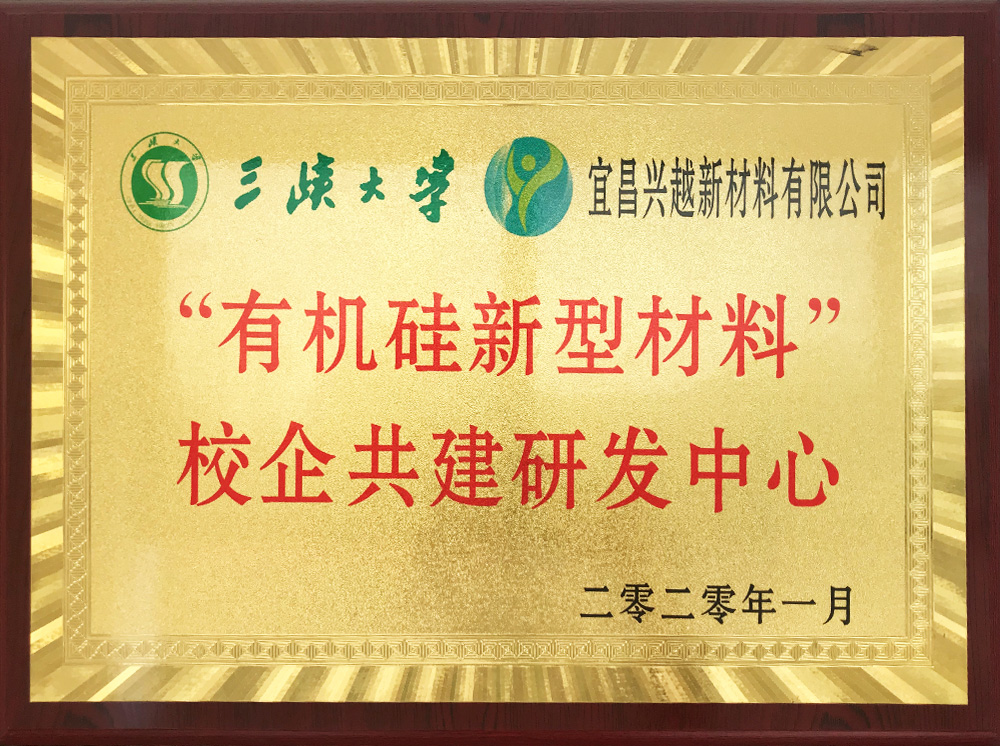 有機(jī)硅新型材料校企共建研發(fā)中心